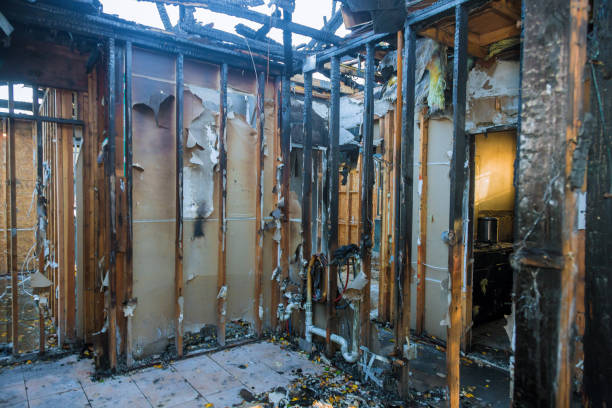 Professional Fire Damage Removal technician working in Forest, OH